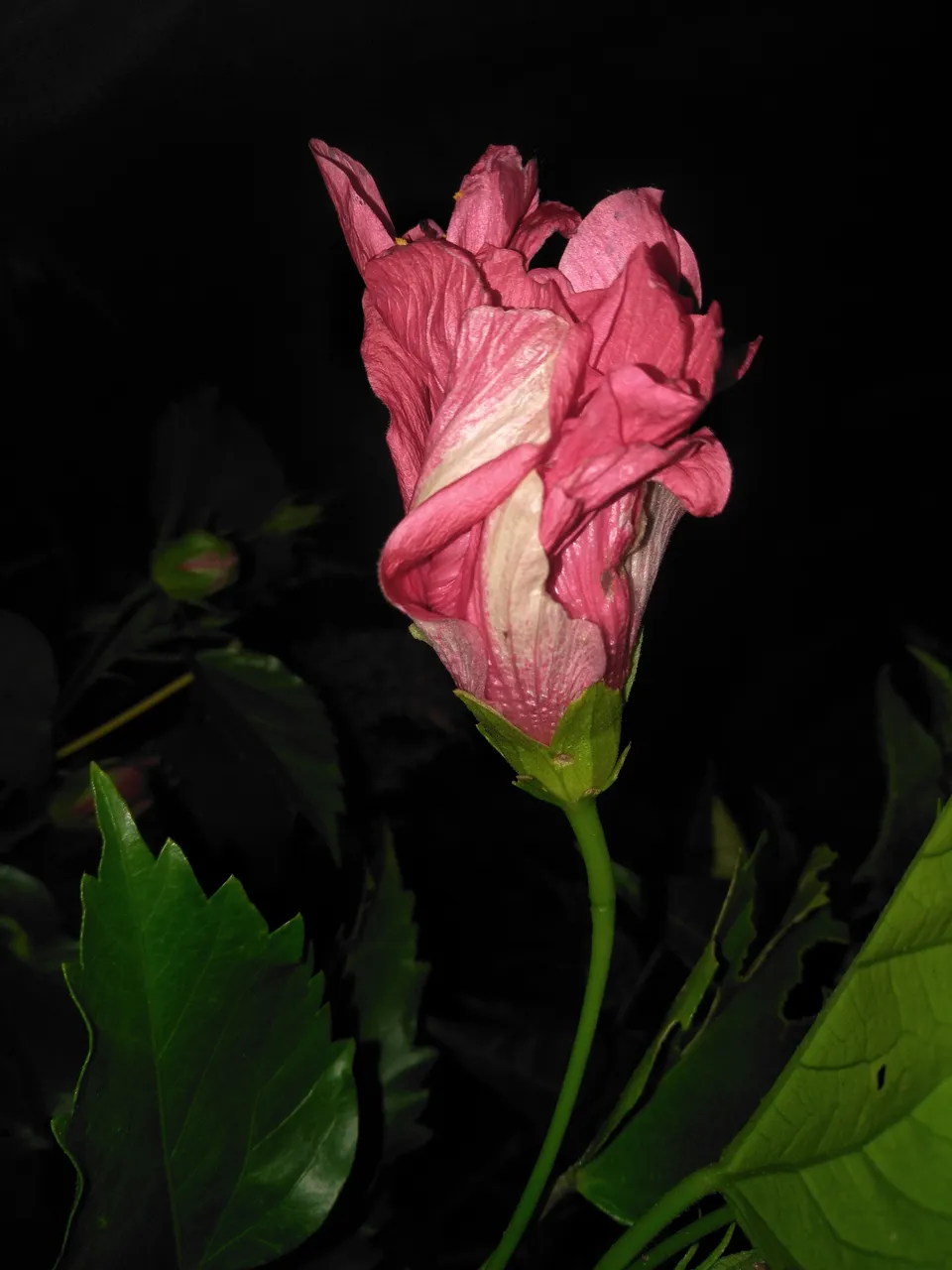 IMG20211112224618.jpg