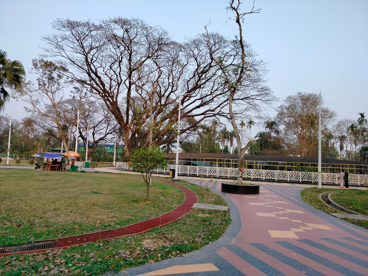 IMG20260221171233.jpg