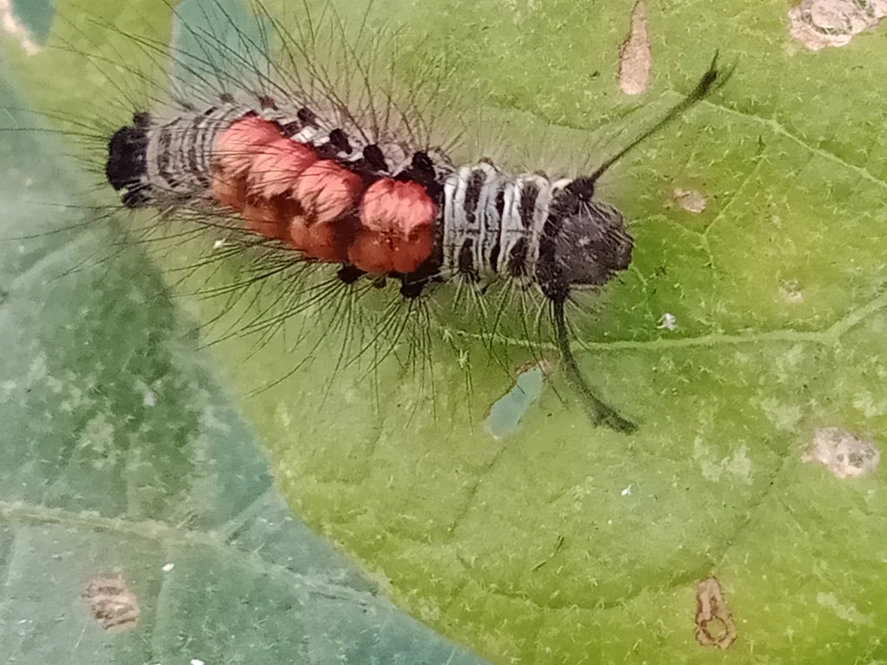 IMG20210907165938.jpg