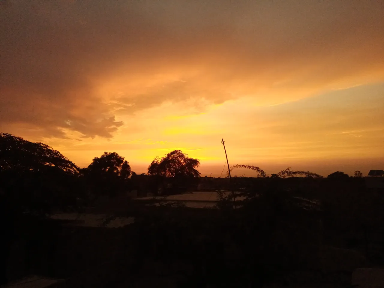 IMG20200604190354.jpg