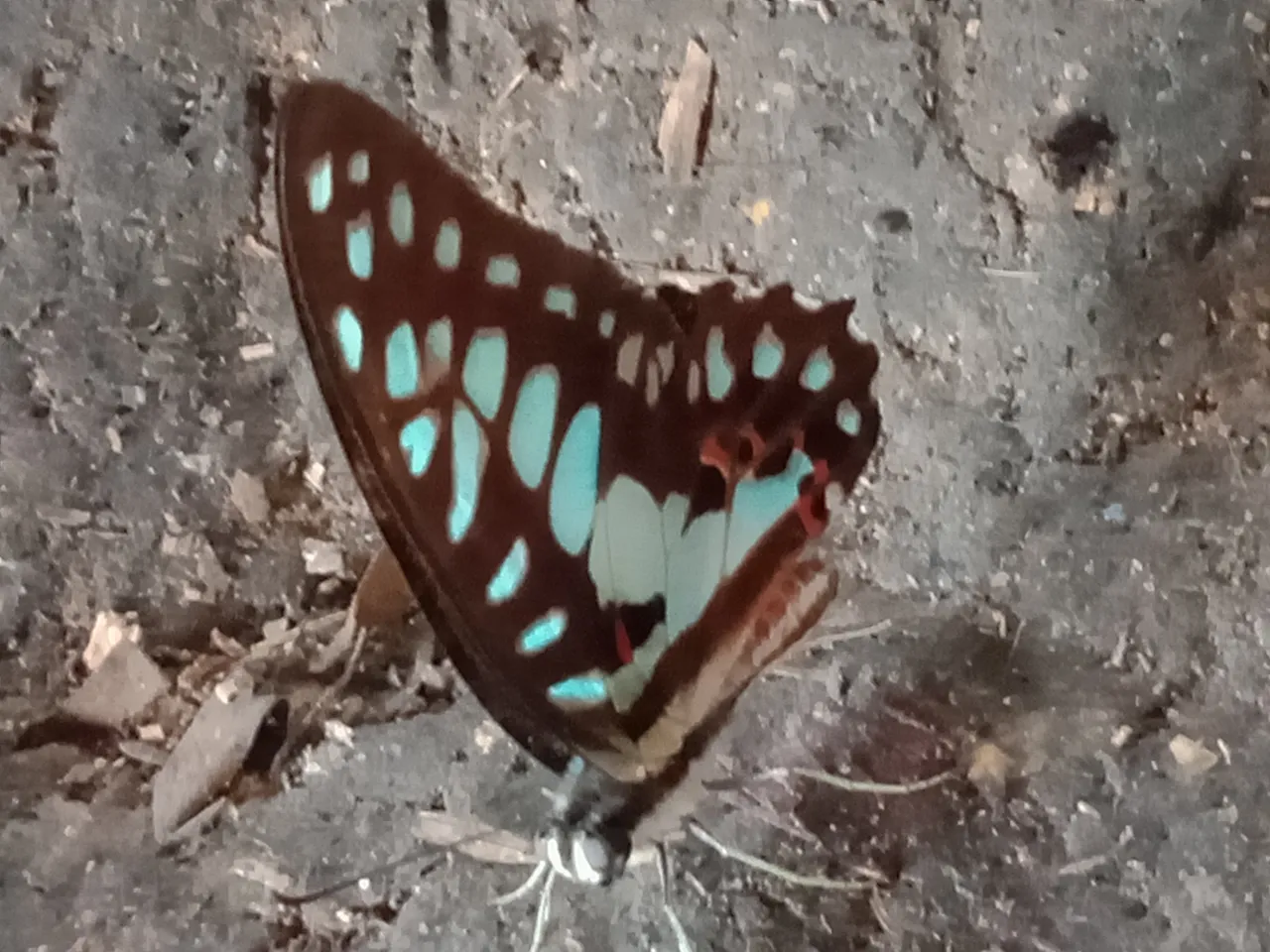 IMG20210616143824.jpg