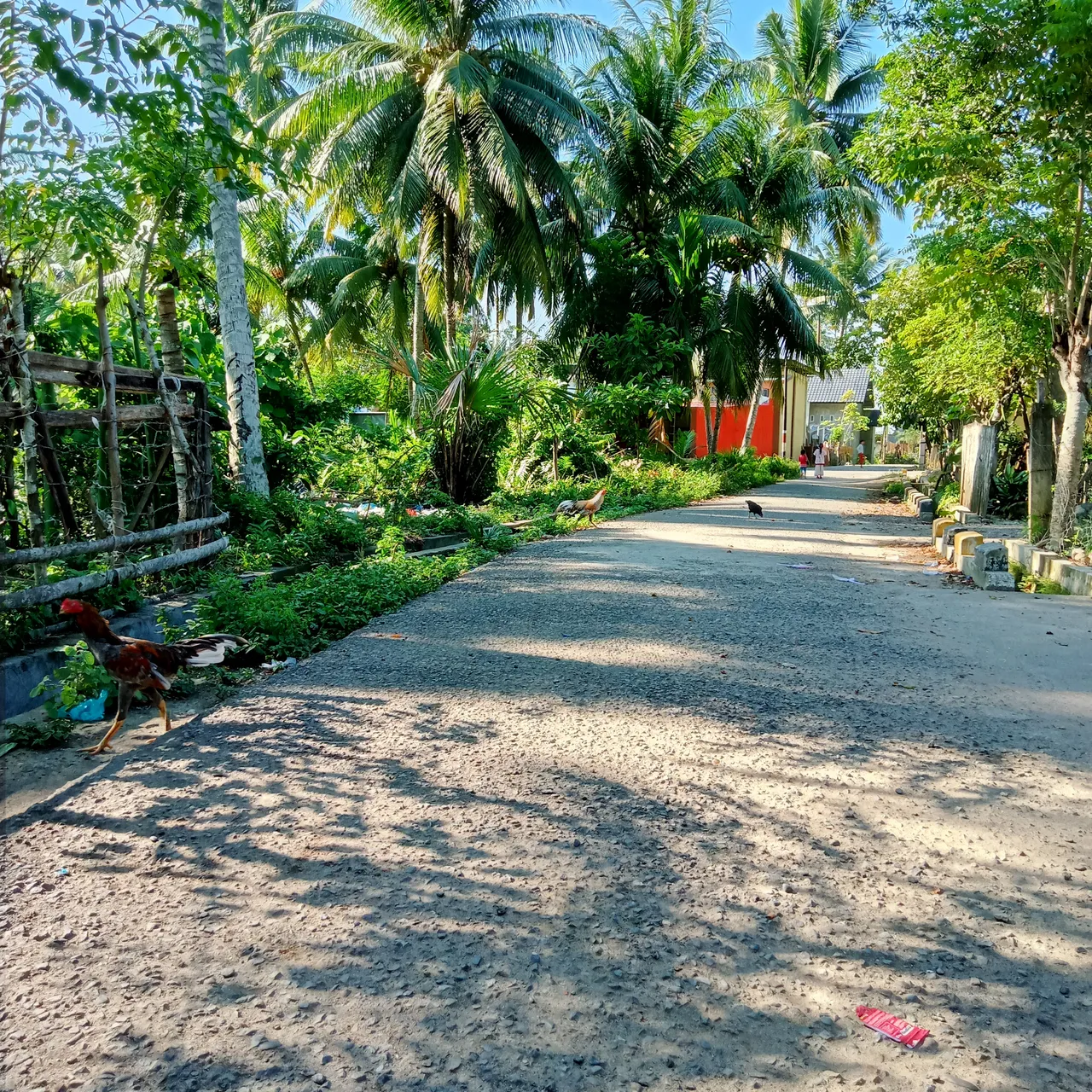 IMG20210905155757.jpg