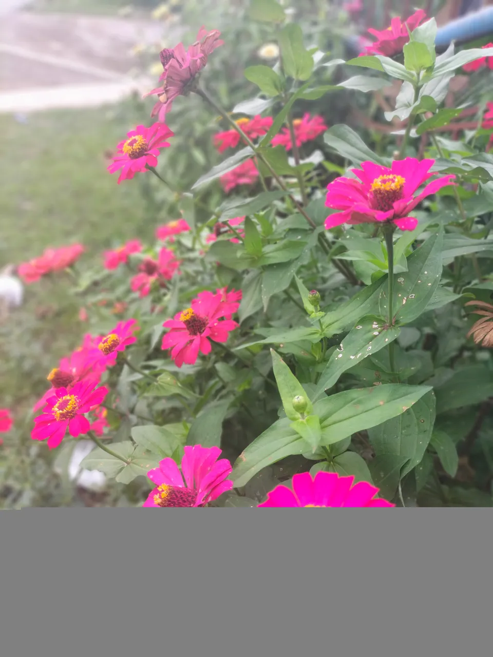 IMG20211207081011.jpg