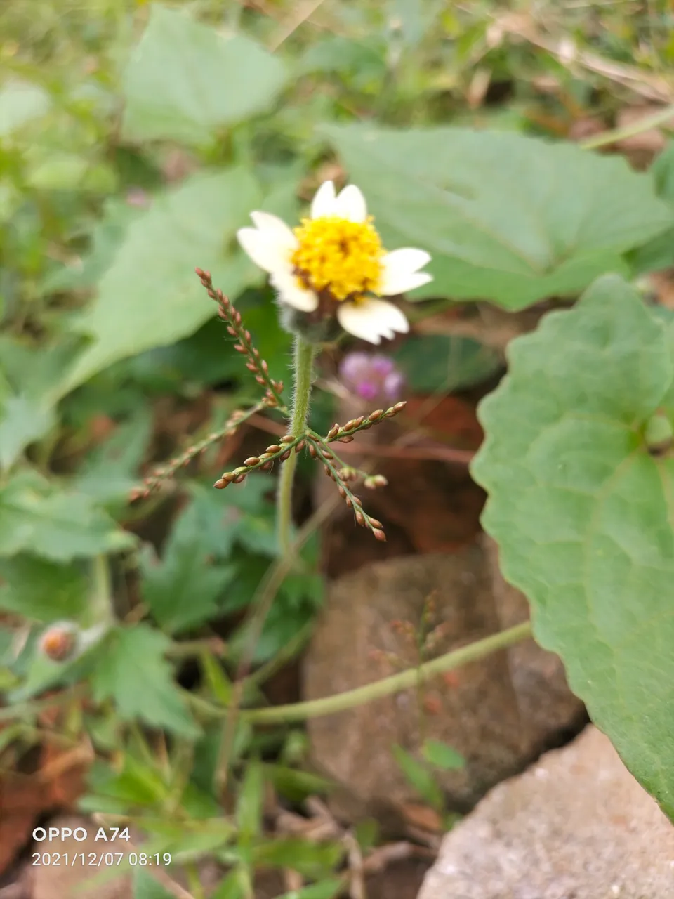 IMG20211207081900.jpg