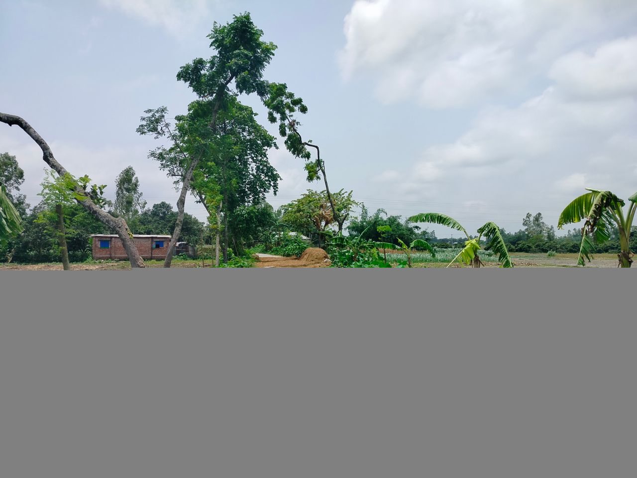 IMG20260526120717.jpg