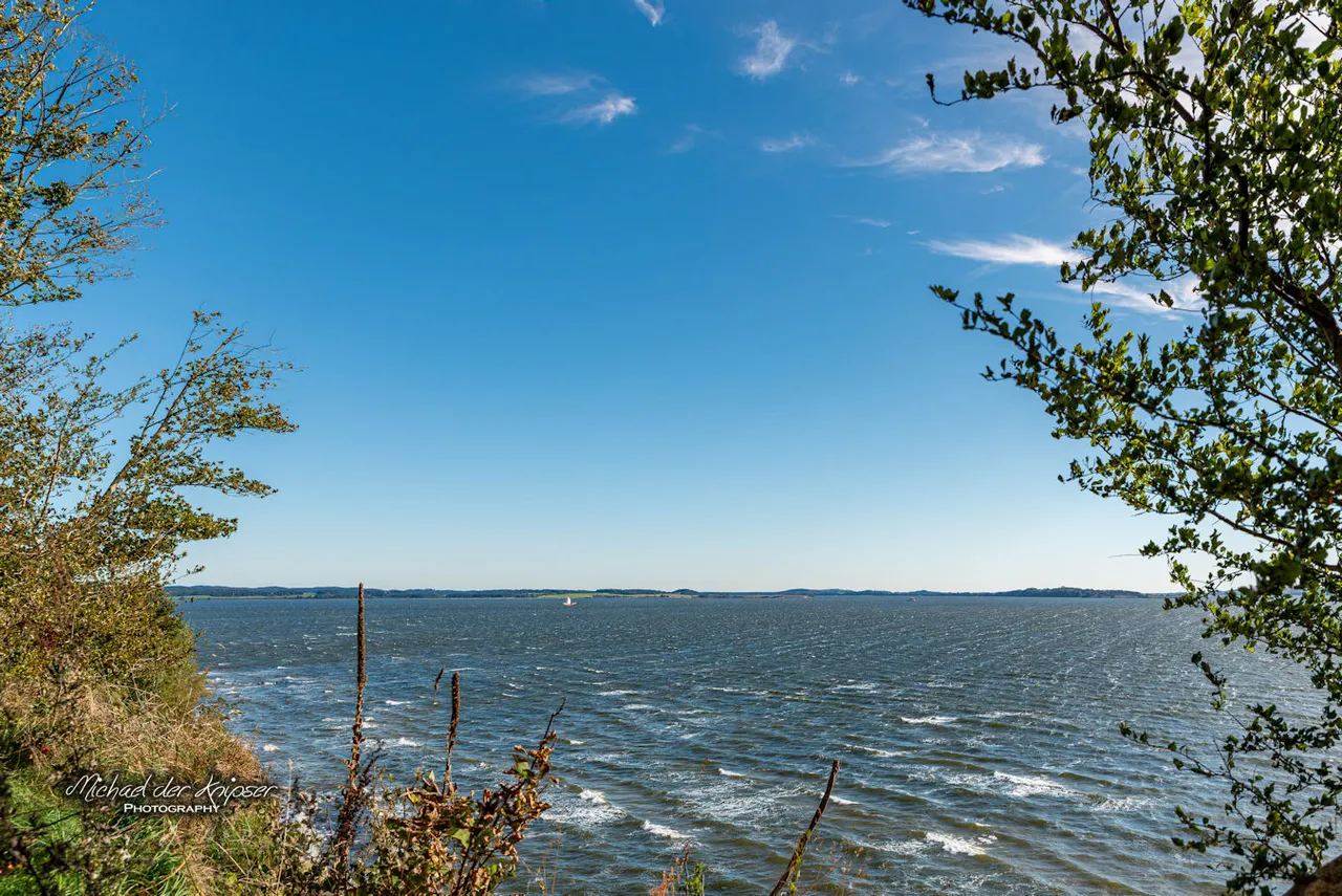 DSC_5699-Verbessert-RR.jpg
