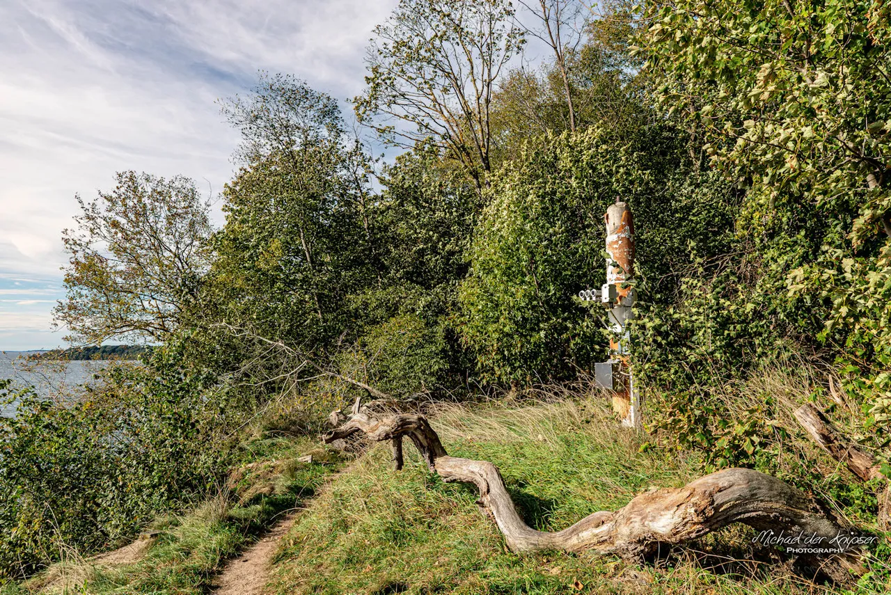 DSC_5685-Verbessert-RR.jpg
