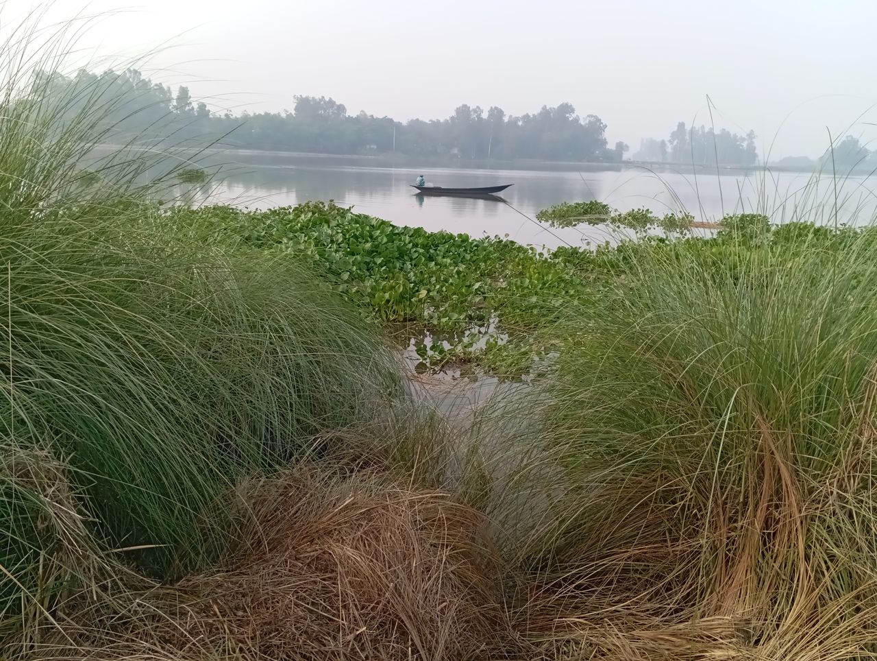 The beauty of nature on the riverside