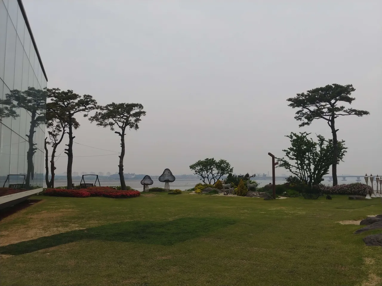 20190517_184453.jpg