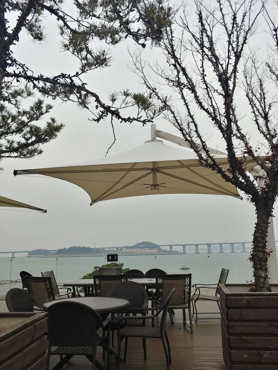 20190517_184727_HDR.jpg