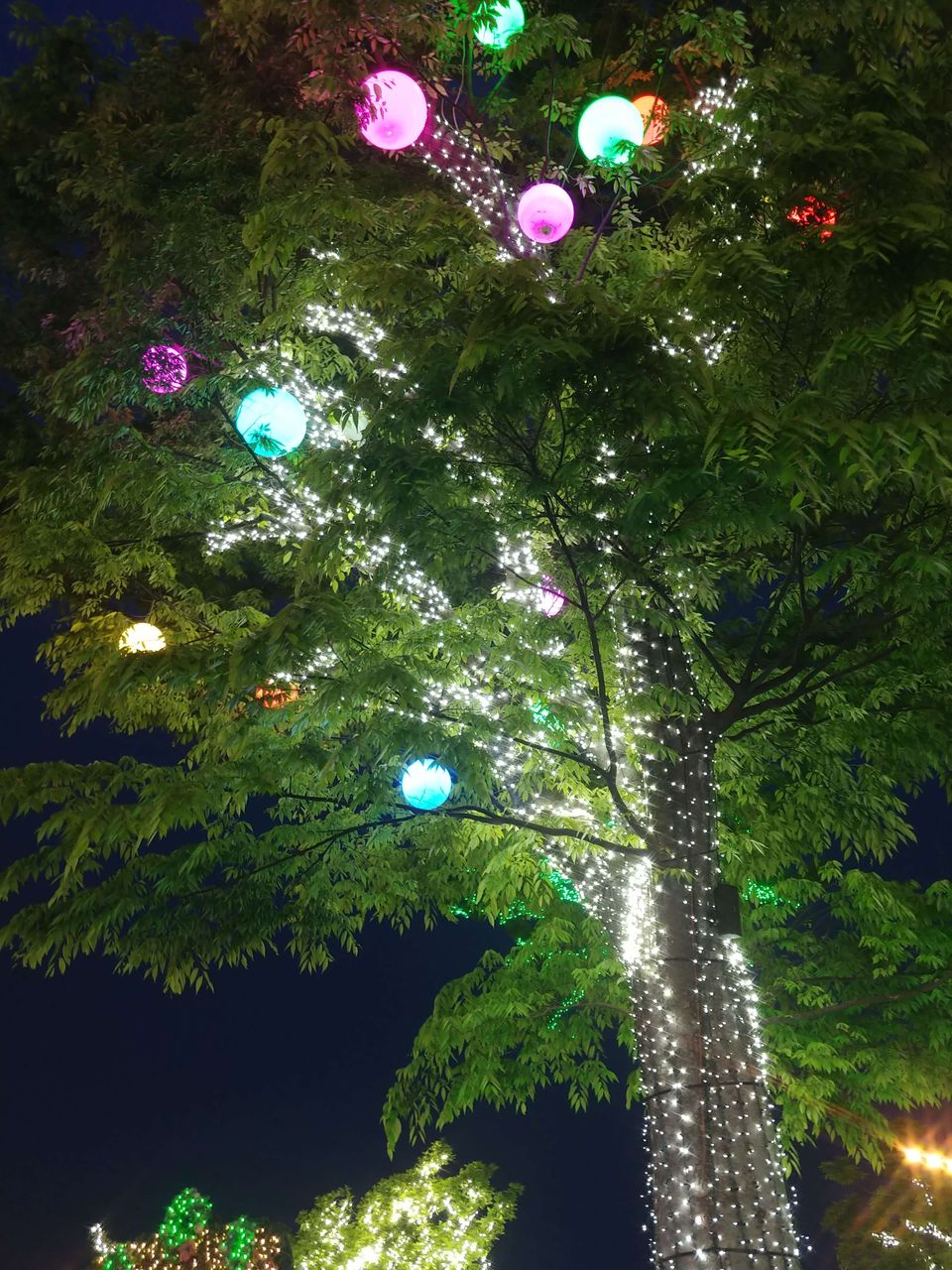 20190517_195938.jpg