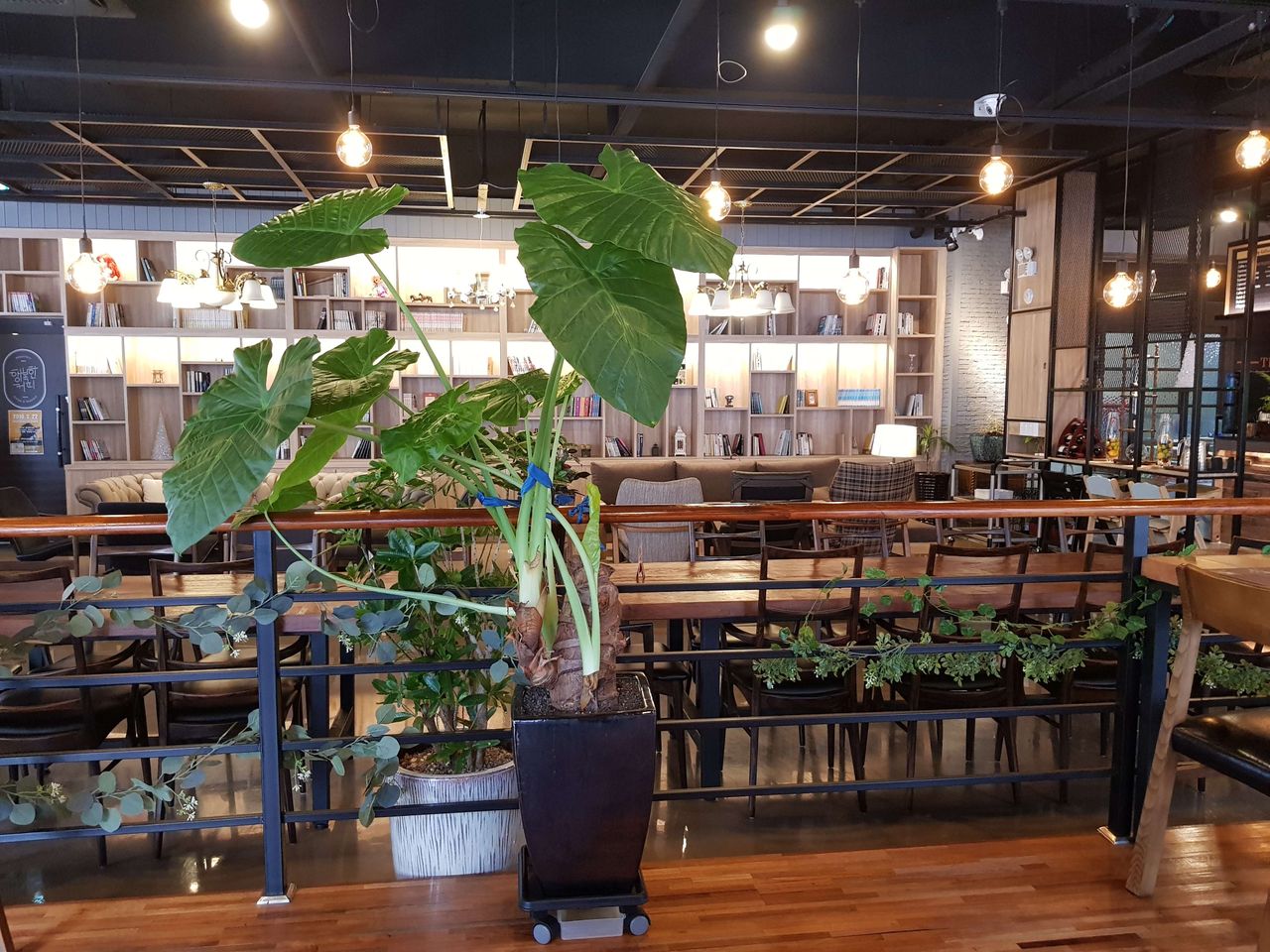 20190619_114535.jpg