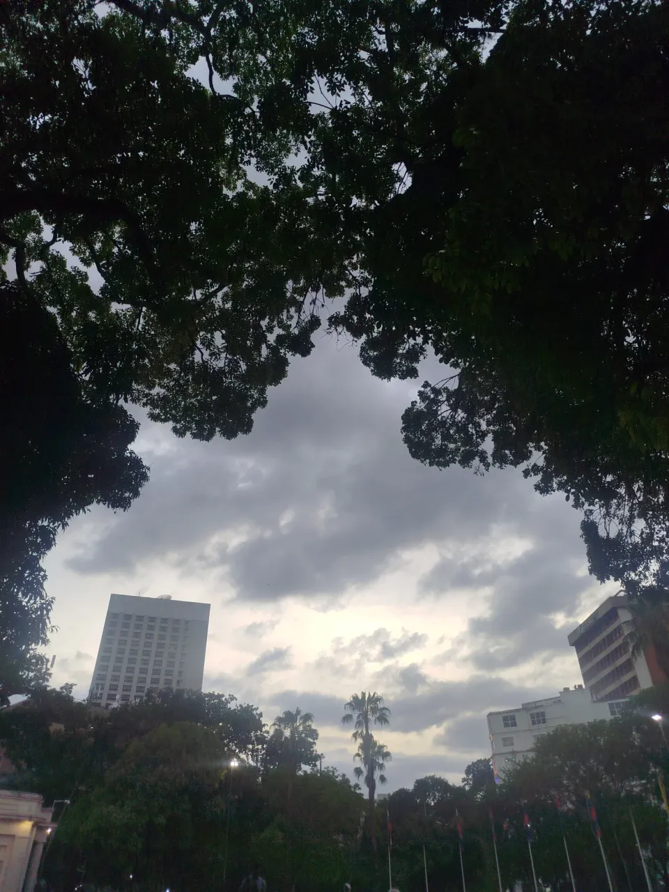 djRJ1THnVvt7vEFi_1001094800.webp