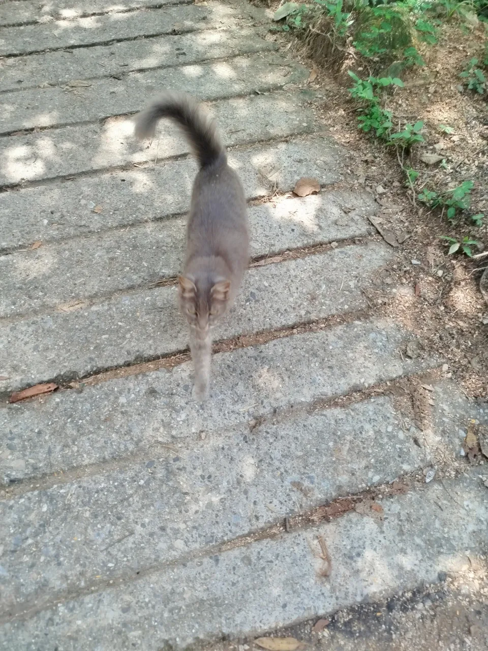 qPxSdQY7vUL1Zckw_1000731752.webp