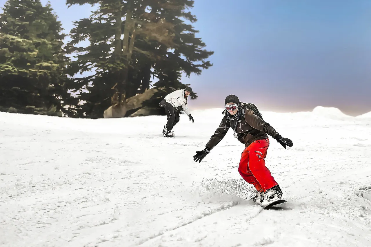 snowboarding-g4304a4983_1920.jpg