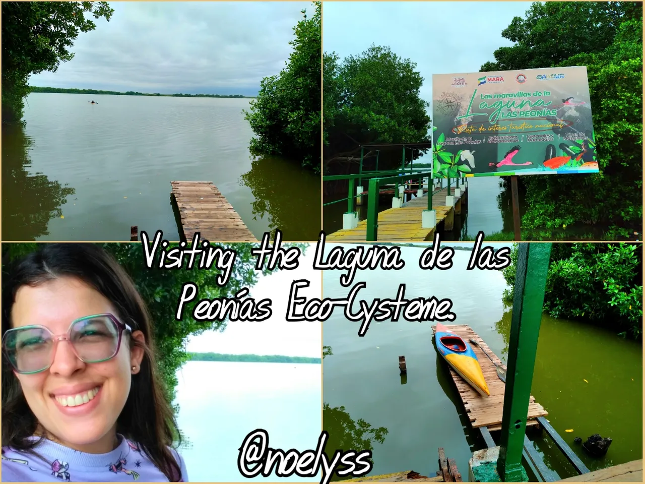 VideoCollagePG_1748531568041.jpg