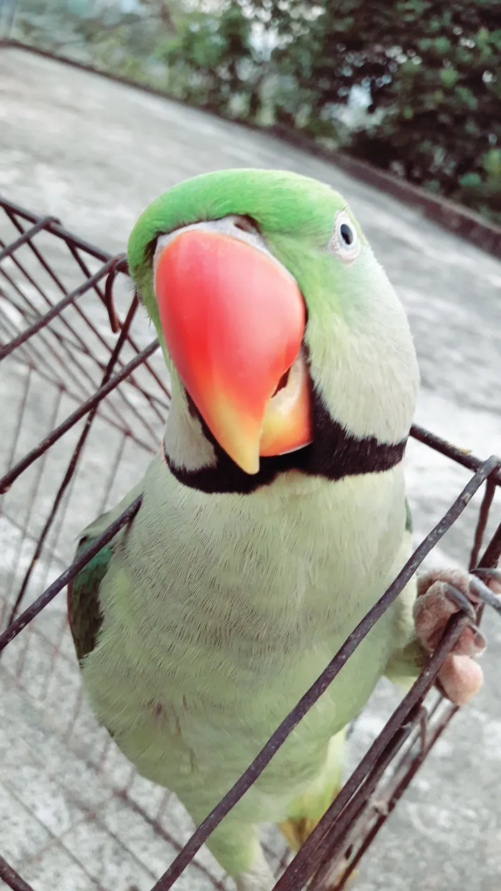 B612_20180320_175551 - Copy.jpg