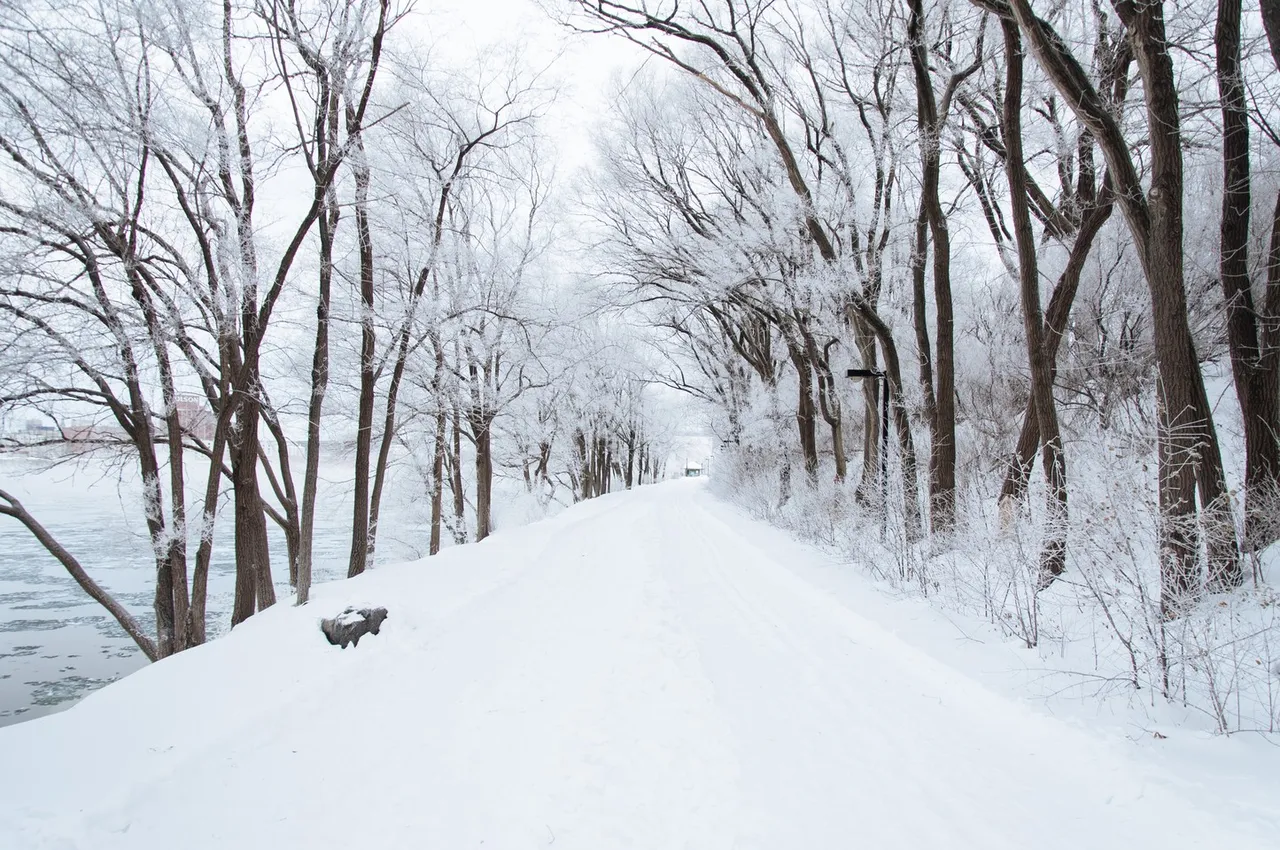 Unsplash_Snowy Road_YkVgRWE.jpg