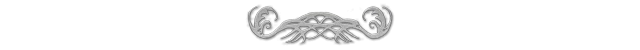 priscilla hernandez_divider.png