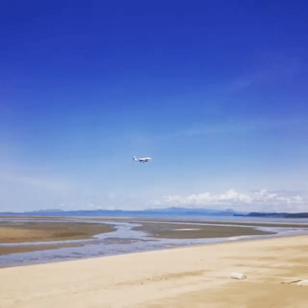 ezgif.com-video-to-gif (13).gif