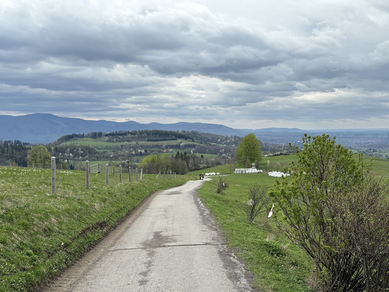 Widok na Beskid Śląsko-Morawski, pasmo z Jaworowym i Ropiczką.