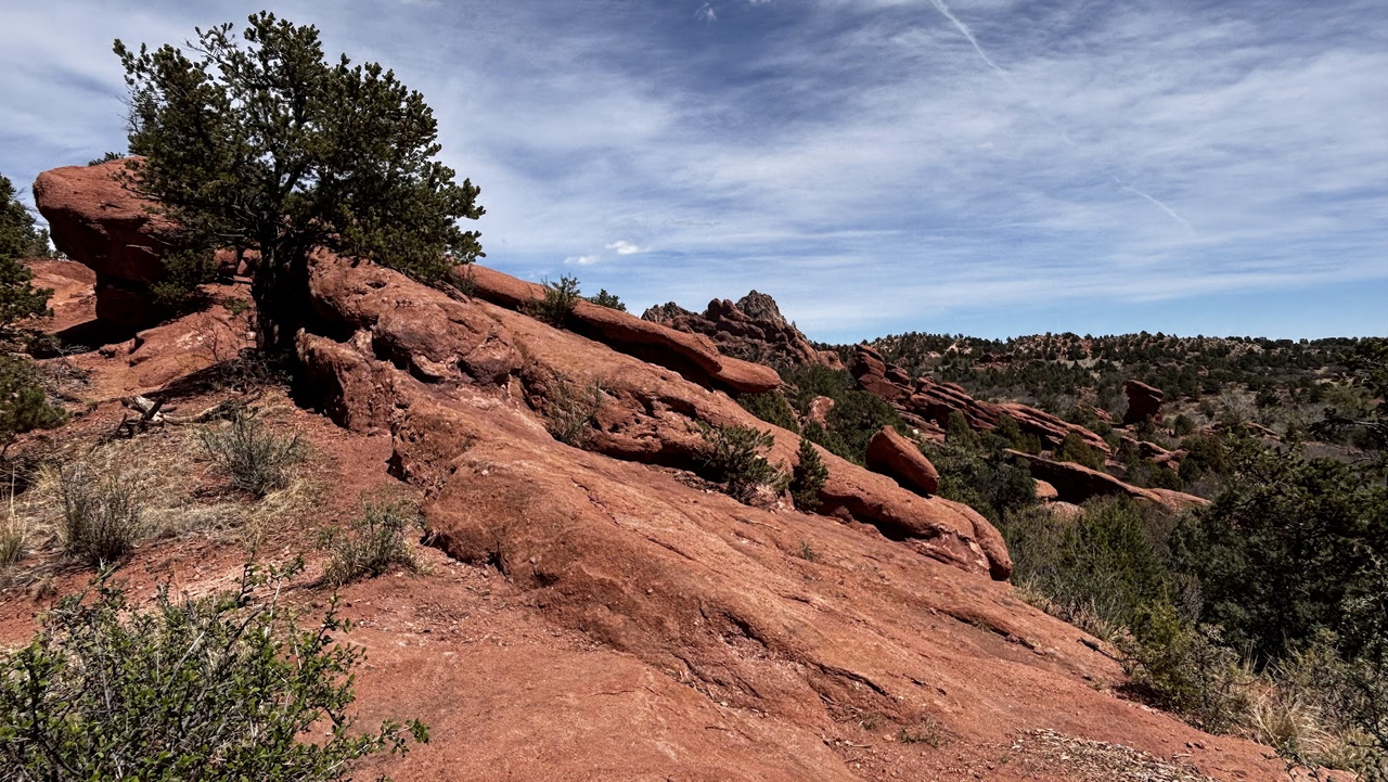 Red / pink sandstone of the Garden of the gods