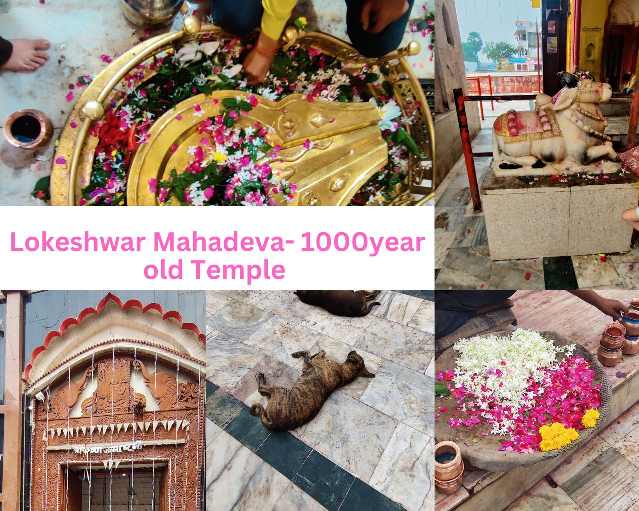 Lokeshwar Mahadeva, India - 1000 year old Temple.