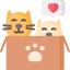 gatito.png