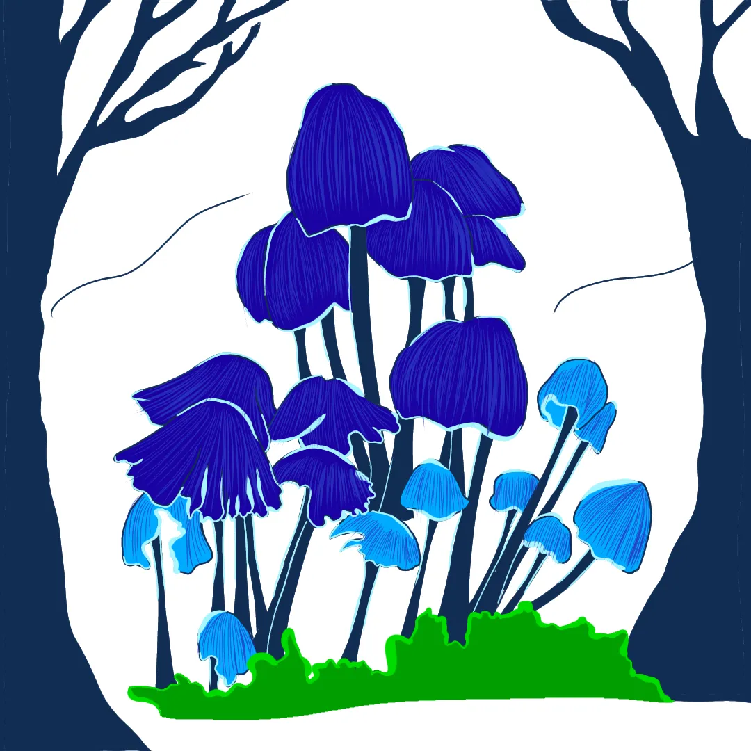 Untitled140_20220410072534.png
