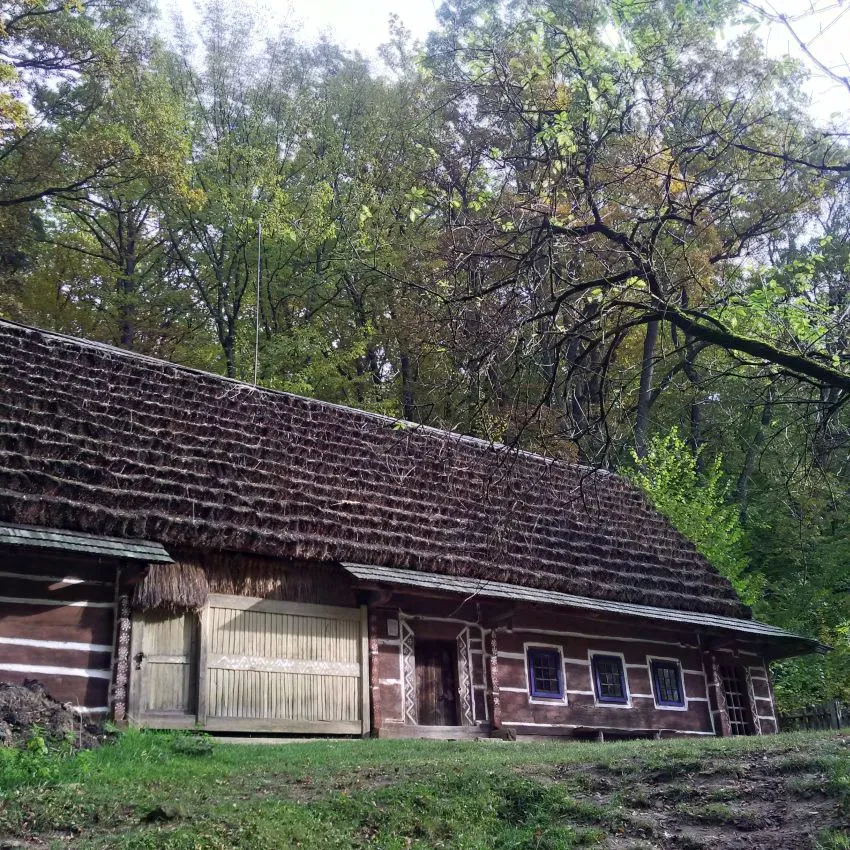 sanok09.jpg