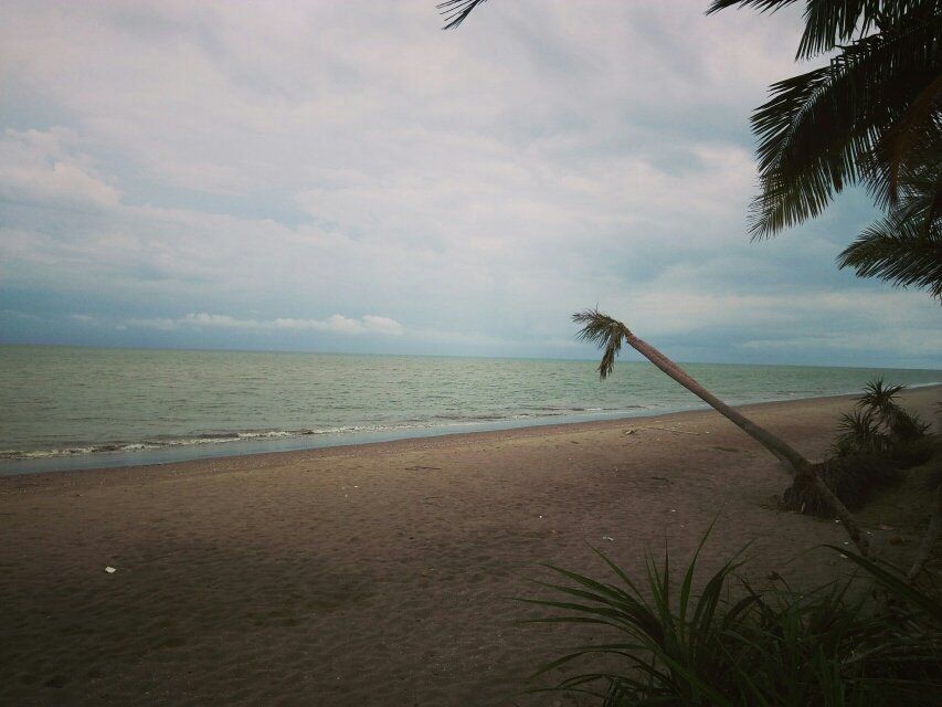 05c36258-8f69-4c68-a202-d7c03c3d8908.jpeg