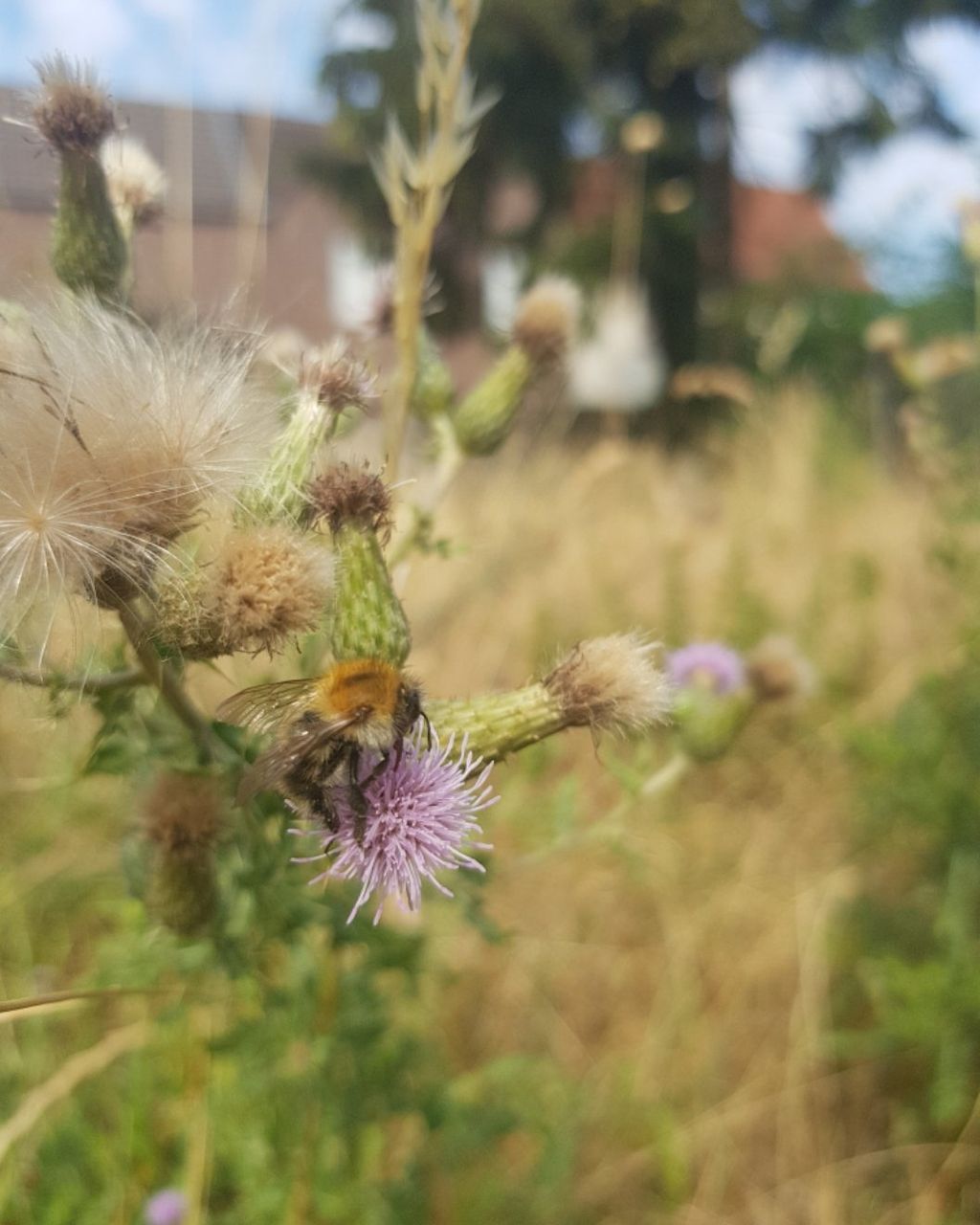 4350e8d5-8471-41c3-9c51-a7e05aac7608.jpeg