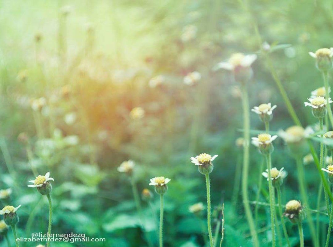 6e8997bc-efb5-410e-9ef2-c152c0f3a8e5.jpeg