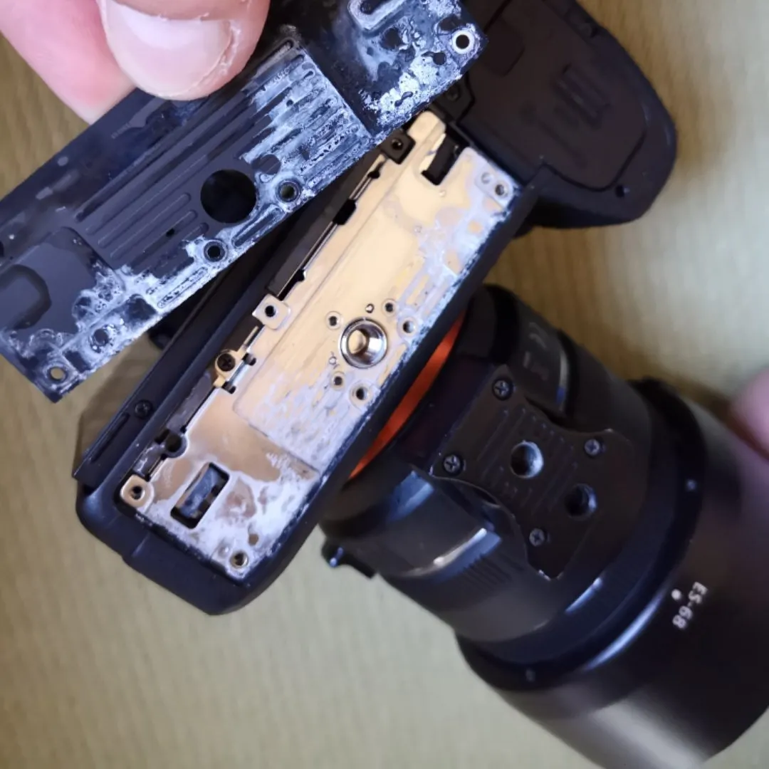74b4050c-29fc-46a8-a4d8-667557014528.jpeg