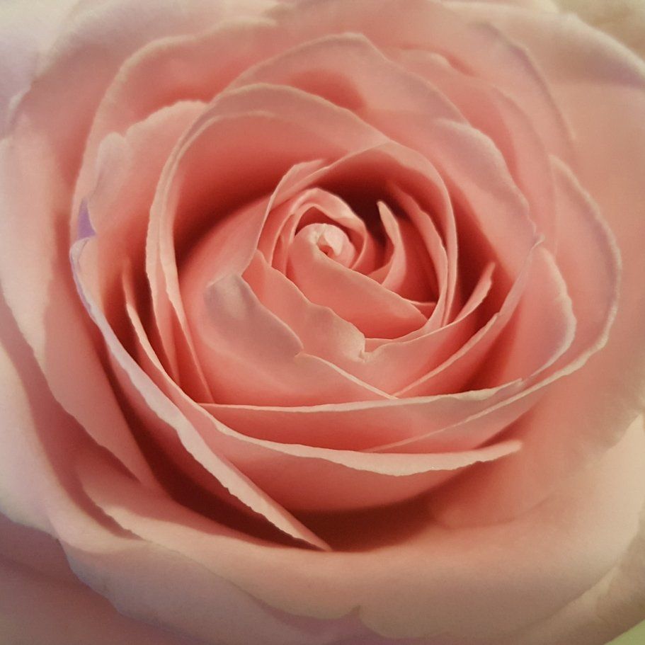 9d2d208f-132c-4586-a797-04a8a697bf1b.jpeg