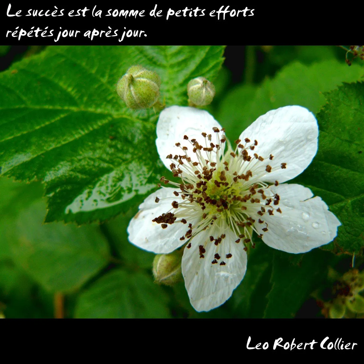 d475ecdf-9e7a-469f-b0d3-a2b0ffb5e7b4.jpeg