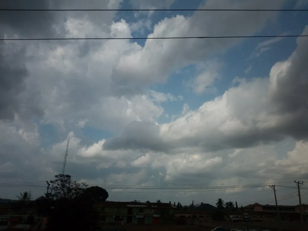 ed50a472-e707-4d58-a38e-36164d30c845.jpeg