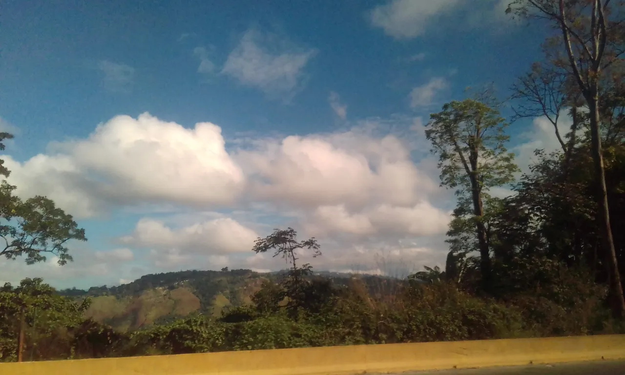 20171125_084537.jpg
