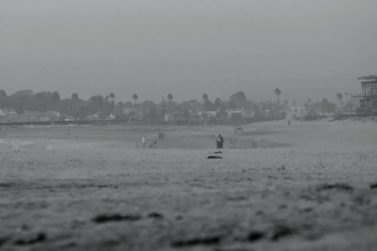 _DSC7971.jpeg