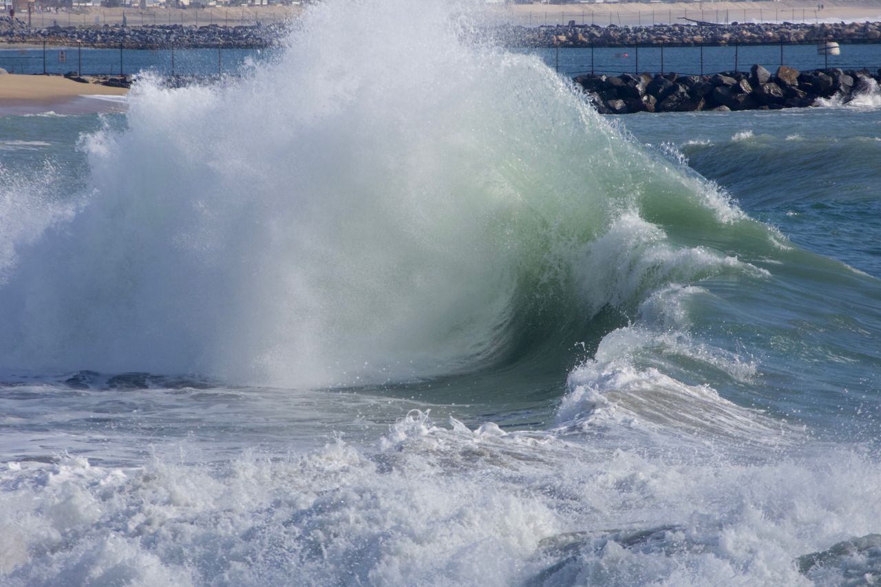 _DSC7820.jpeg
