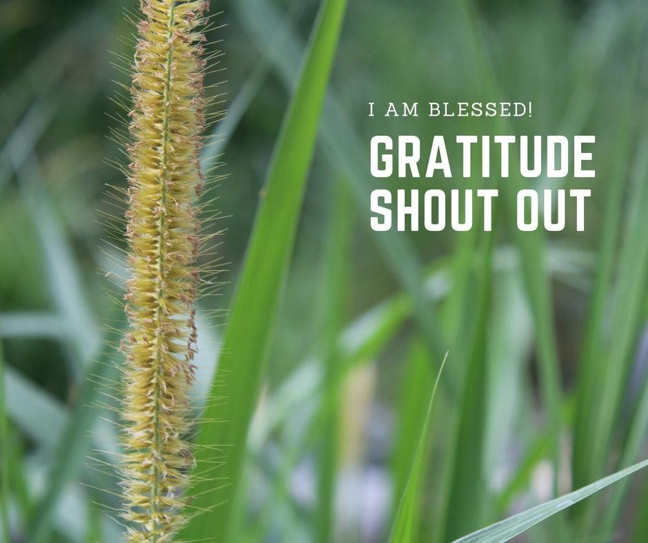 GRATITUDE SHOUT OUT.jpg
