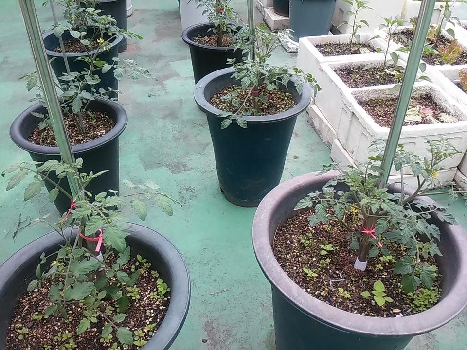 20180520_080914.jpg