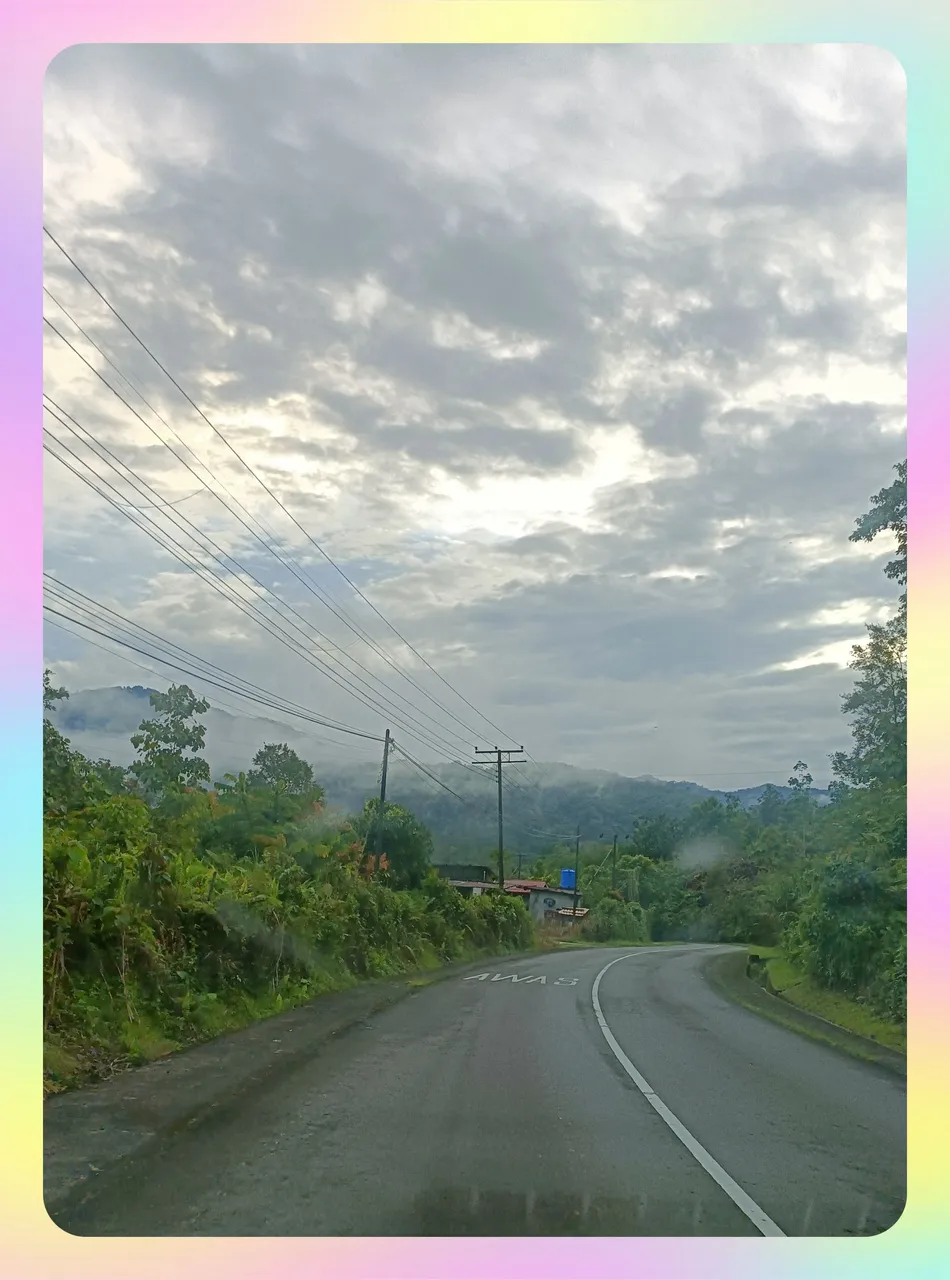 1road.jpg