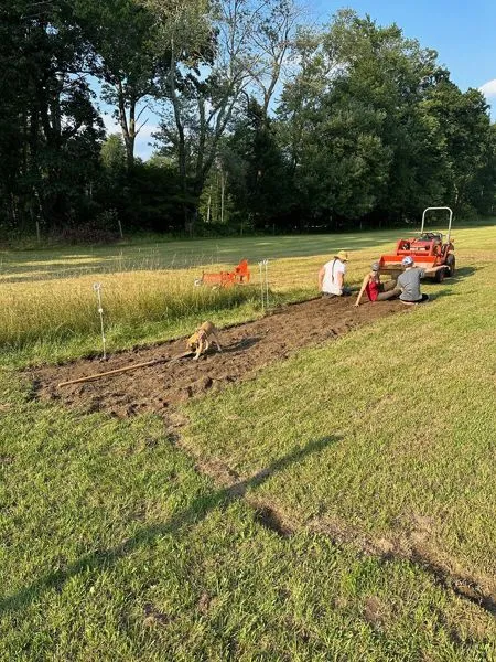 Pasture garden - puppy, Pam, Phoebe, Wiley crop July 2023.jpg