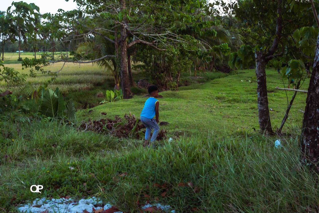 walk-19.jpg