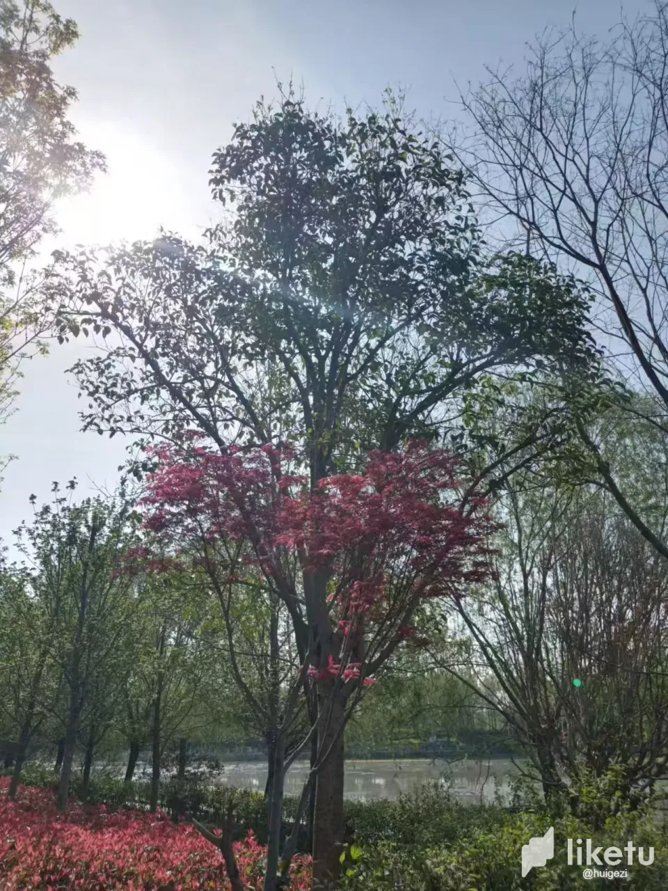 CLeFUHOofTiszhF5_4.webp