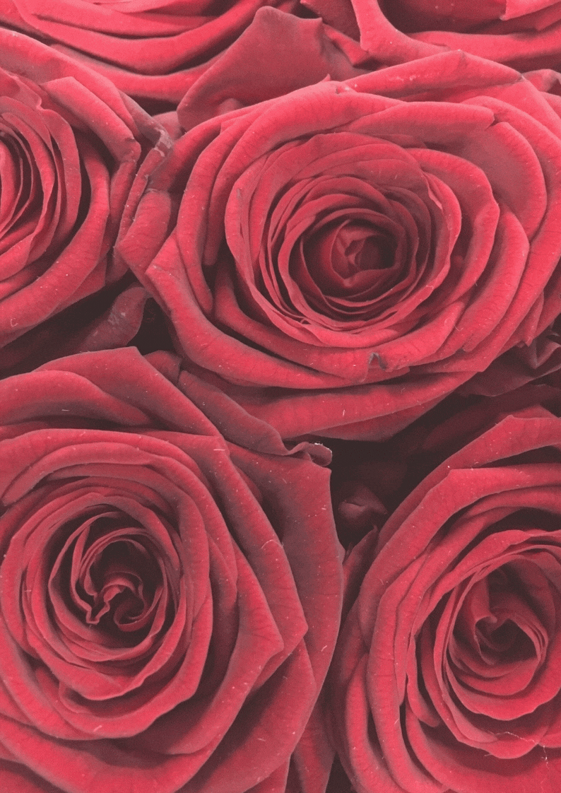 Flores Make up 1.gif