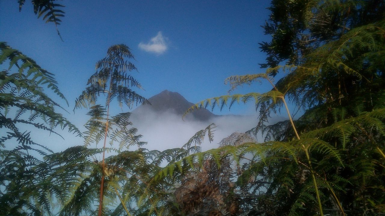 IMG_20200225_092650.jpg