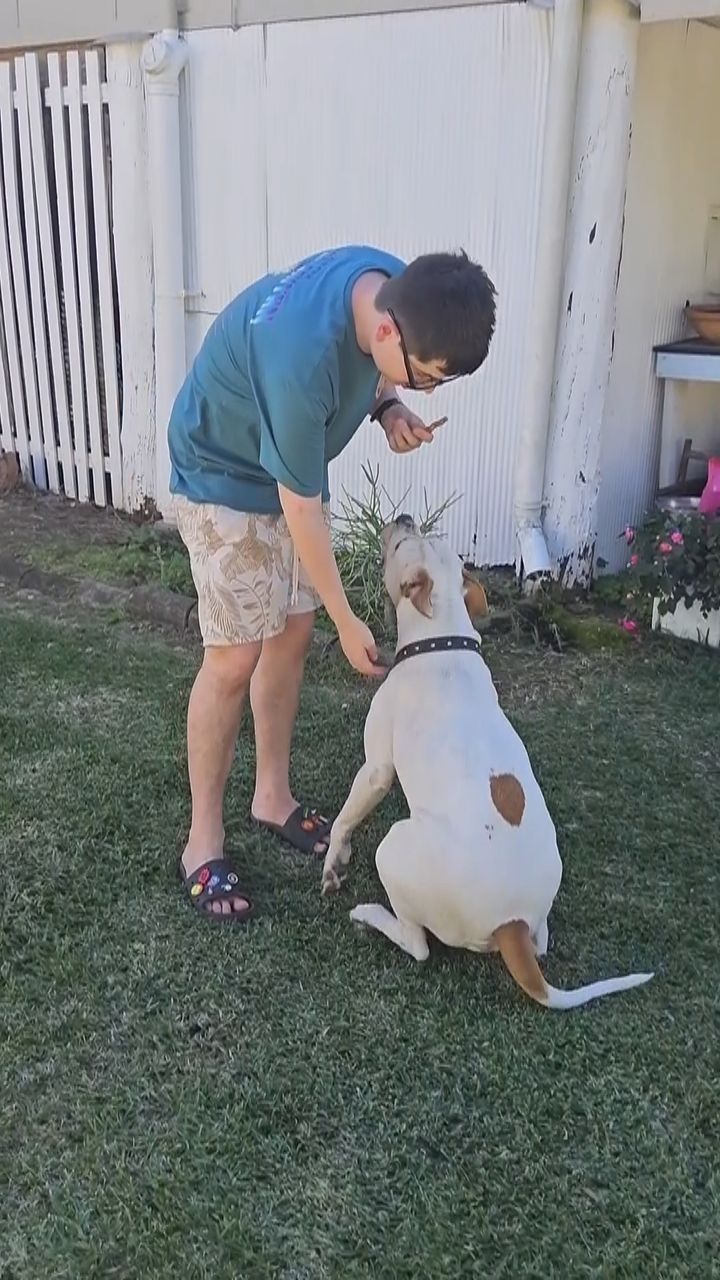 who likes my sister dog