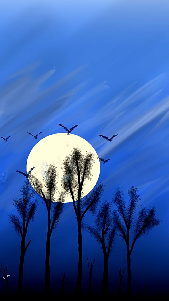🌕 in the woods 🌳